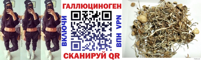 Галлюциногенные грибы мухоморы  Бодайбо 